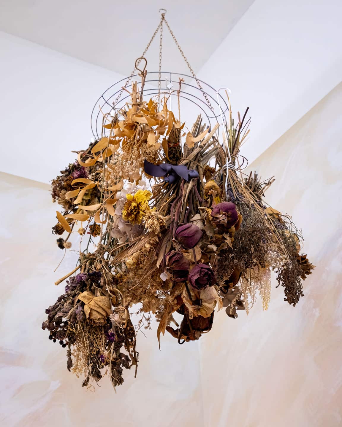 Laura Dawe at Patel Brown